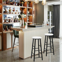 2 Pieces Bar Stool Set Dning Bistro Stools for Cafe, Kitchen
