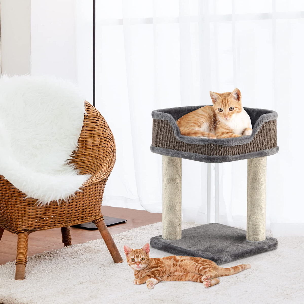 Compact Cat Tree Tower for Scratching, Relaxing & Sleeping