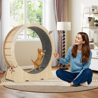 101 CM Large Cat Exercise Wheel for Indoor Cats