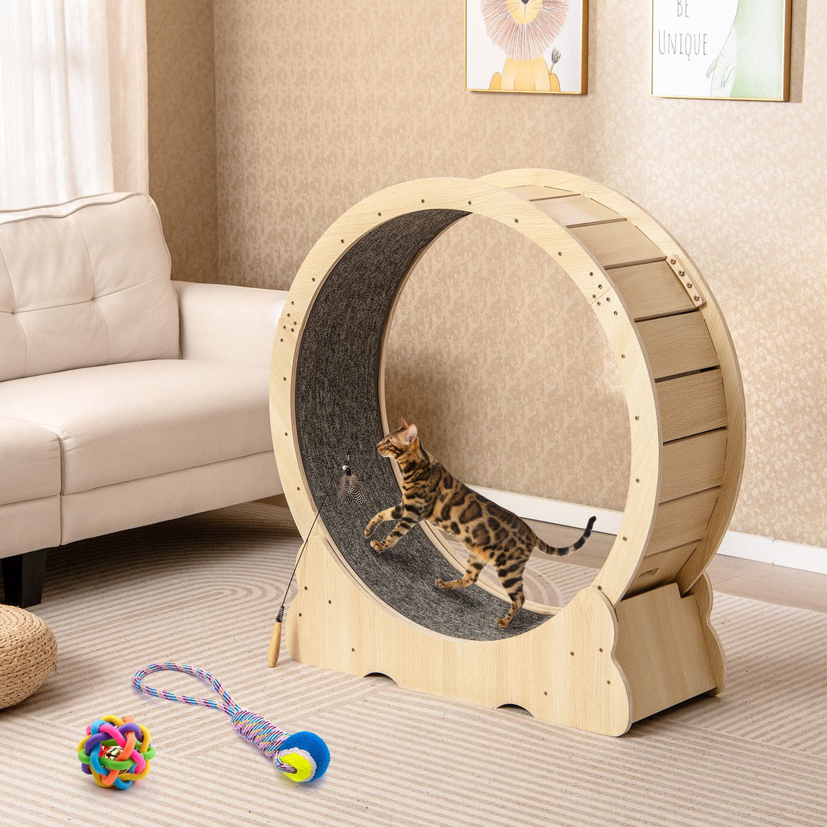 101 CM Large Cat Exercise Wheel for Indoor Cats