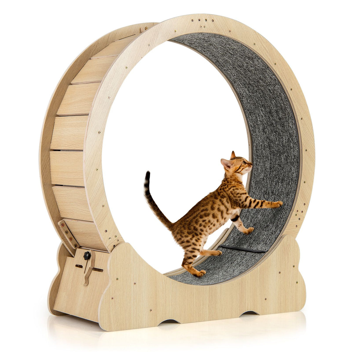 101 CM Large Cat Exercise Wheel for Indoor Cats