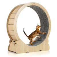 101 CM Large Cat Exercise Wheel for Indoor Cats