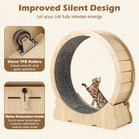 101 CM Large Cat Exercise Wheel for Indoor Cats