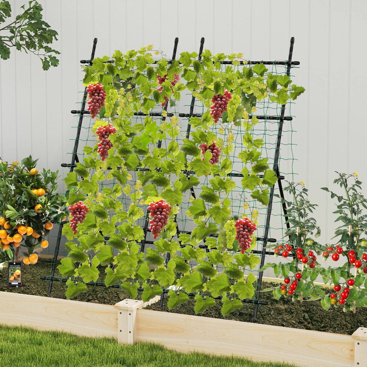 190cm x 80cm Cucumber Trellis for Raised Bed