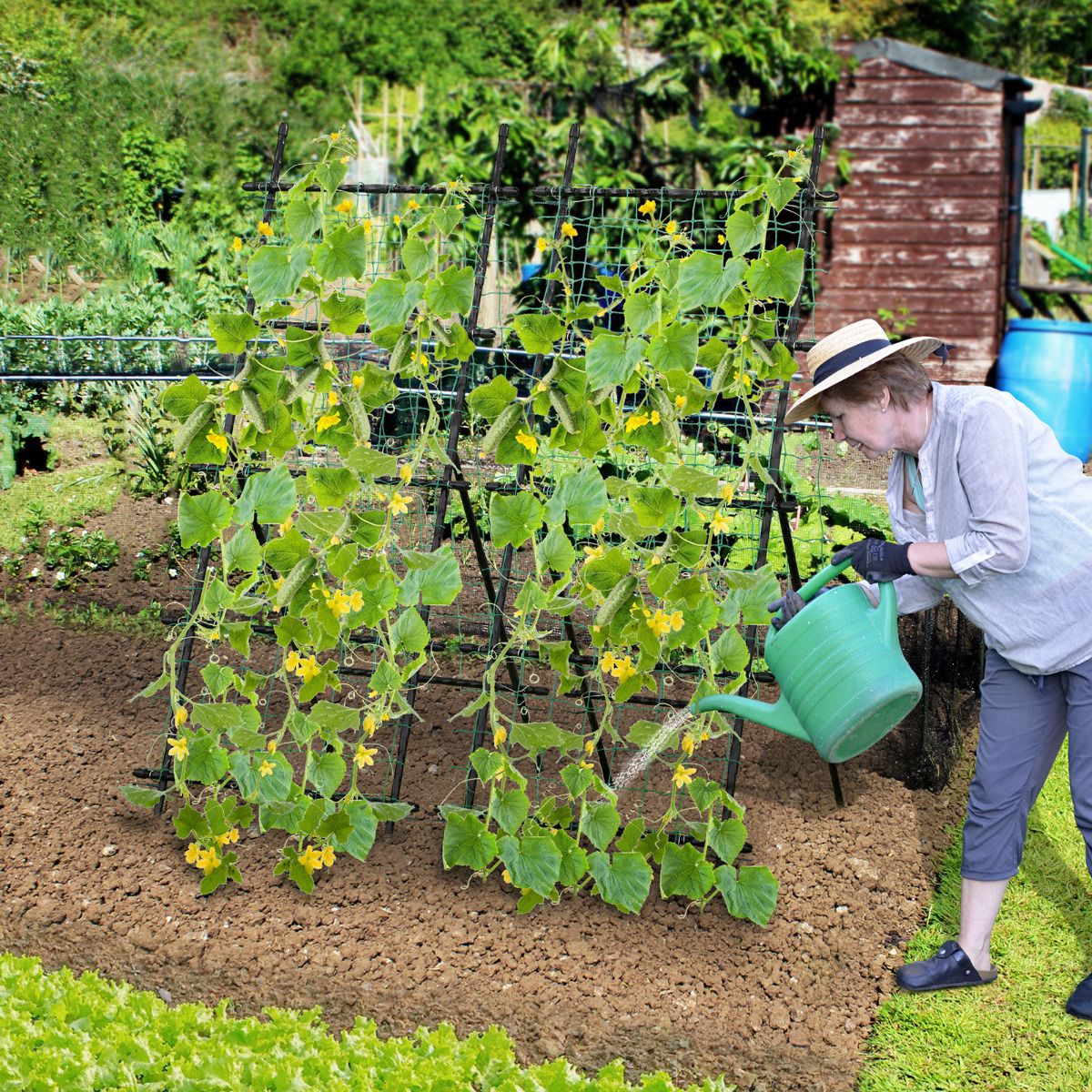 190cm x 80cm Cucumber Trellis for Raised Bed