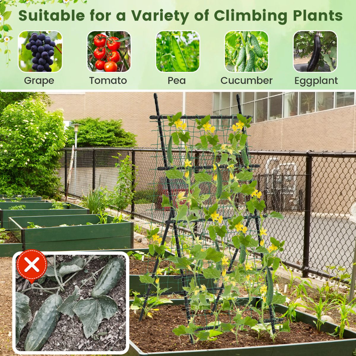 190cm x 80cm Cucumber Trellis for Raised Bed