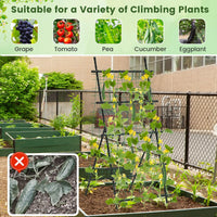190cm x 80cm Cucumber Trellis for Raised Bed