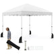 3 X 3 m Pop up Canopy Tent Portable Foldable Outdoor Patio Shelter w/Wheeled Bag