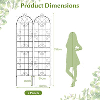 2 Panles Metal Garden Trellis for Outdoor Climbing Plants