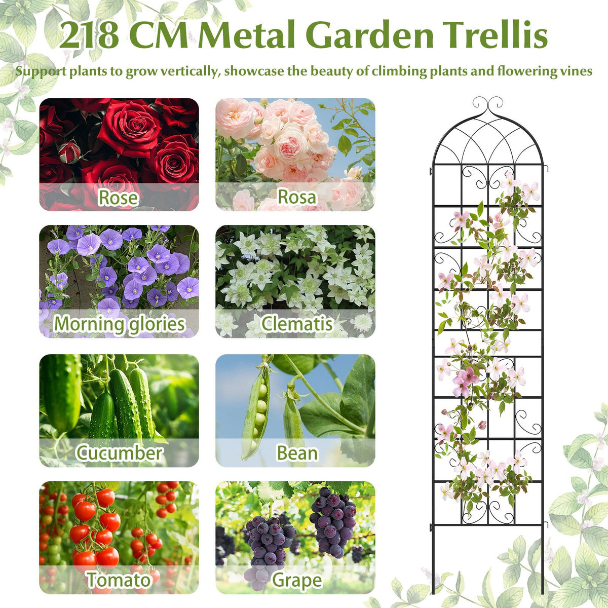 4 Panles Metal Garden Trellis for Outdoor Climbing Plants Rose Vegetable Flower