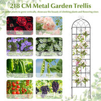 4 Panles Metal Garden Trellis for Outdoor Climbing Plants Rose Vegetable Flower