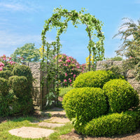 220CM Garden Arch Arbor Trellis for Climbing Plants Roses Vines