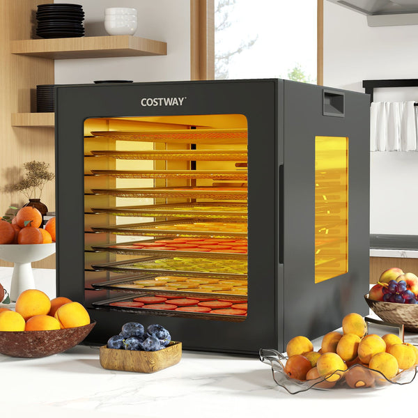 48H Timer Food Dehydrator 35-75℃ with 10 Stainless Trays & 10 Presets for Jerky Fruits