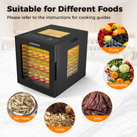 48H Timer Food Dehydrator 35-75℃ with 10 Stainless Trays & 10 Presets for Jerky Fruits