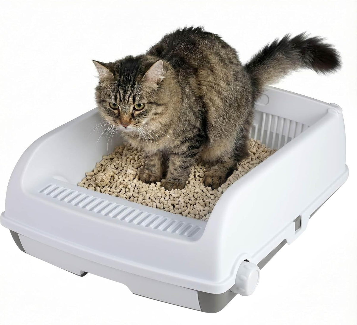 Semi-auto Open-top Cat Litter Box with High Side, Splash-Proof Cat Toilet