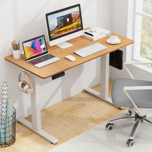 Giantex Electric Standing Desk, 120 x 60 cm Sit Stand Home Office Desk