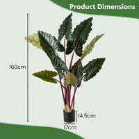 Artificial Rainbow Taro Tree 160cm Tall Fake Pre-potted Plant with 11 Faux Leaves