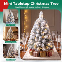 60cm Mini Snow-Flocked Christmas Tree, Pre-lit Tabletop Xmas Tree w/ 30 Warm White LED lights, Timer, Burlap Base, 65 PVC Branch Tips, Battery-Operated Desktop Decoration Tree for Holiday