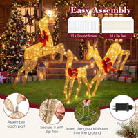 Lighted Reindeer Family Set of 3 Outdoor Pre-lit Christmas Decoration