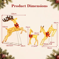 Lighted Reindeer Family Set of 3 Outdoor Pre-lit Christmas Decoration