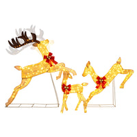 Lighted Reindeer Family Set of 3 Outdoor Pre-lit Christmas Decoration