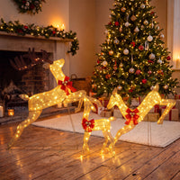 Lighted Reindeer Family Set of 3 Outdoor Pre-lit Christmas Decoration