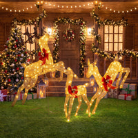 Lighted Reindeer Family Set of 3 Outdoor Pre-lit Christmas Decoration