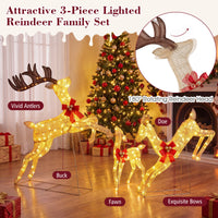 Lighted Reindeer Family Set of 3 Outdoor Pre-lit Christmas Decoration