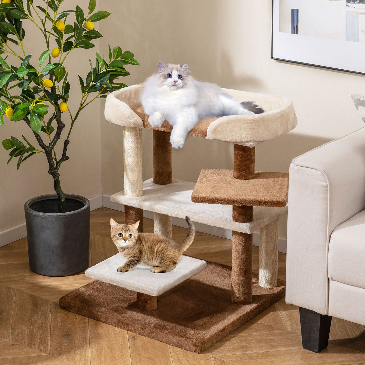 Cat Stairs with Sisal Scratching Posts and 4 Large Platforms