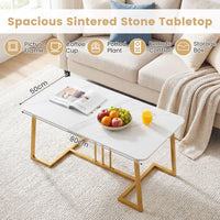 Coffee Table for Living Room Faux Marble Rectangular Center Table