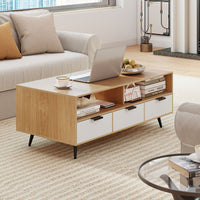 Coffee Table with Storage 120cm Center Table with 2 Open Compartments