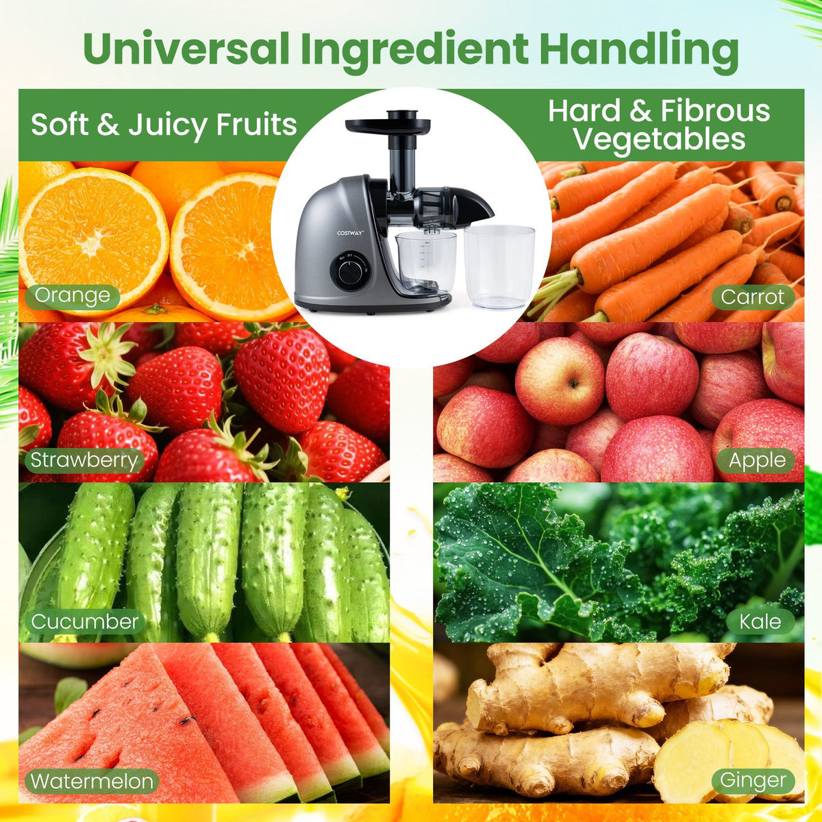 Cold Press Juicer with 95 High Yield and 2 Speed Modes for Home Use
