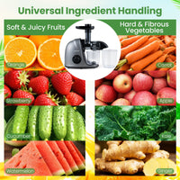Cold Press Juicer with 95 High Yield and 2 Speed Modes for Home Use