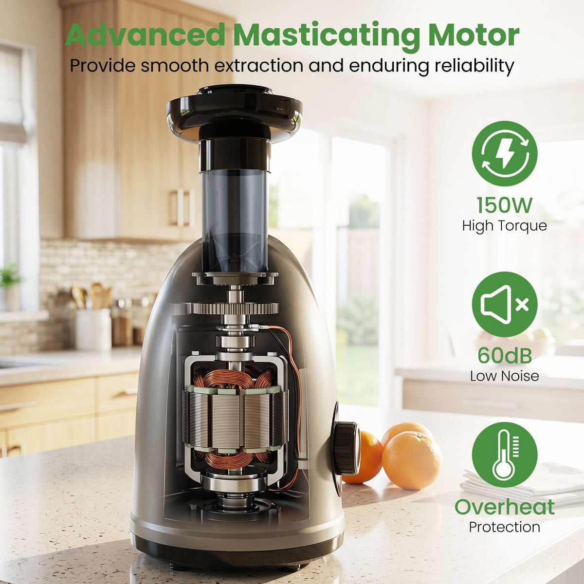 Cold Press Juicer with 95 High Yield and 2 Speed Modes for Home Use