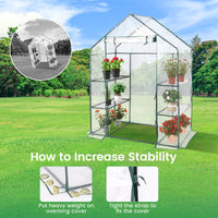 Greenhouse Outdoor Large Walk-in Plant Green House with 3 Tier Shelves for Plants