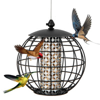 Squirrel-Proof Bird Feeder for Outdoor Hanging, Caged Seed Feeder for Wild Birds