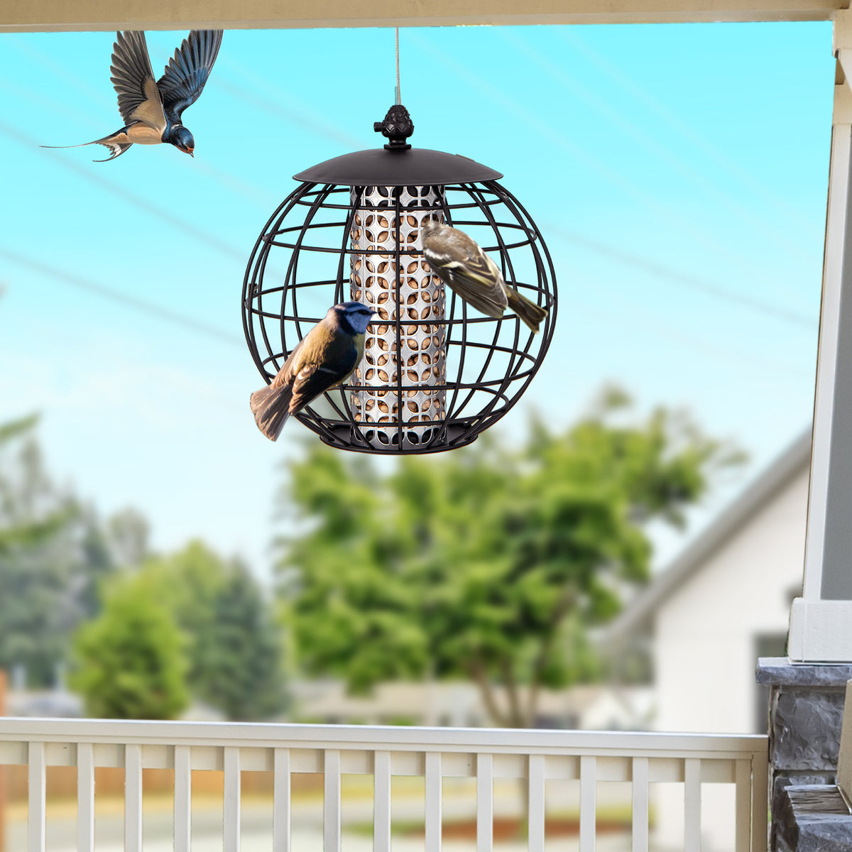 Squirrel-Proof Bird Feeder for Outdoor Hanging, Caged Seed Feeder for Wild Birds