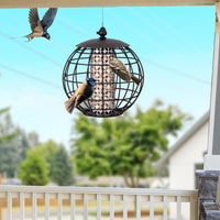 Squirrel-Proof Bird Feeder for Outdoor Hanging, Caged Seed Feeder for Wild Birds