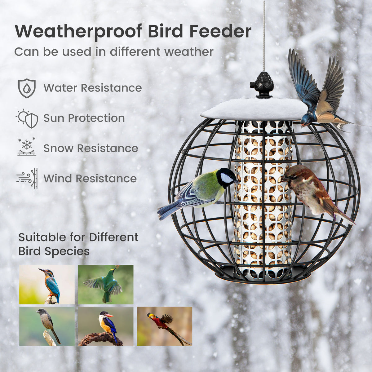 Squirrel-Proof Bird Feeder for Outdoor Hanging, Caged Seed Feeder for Wild Birds