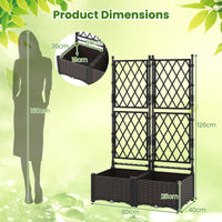 Raised Garden Bed w/ Lattice Trellis
