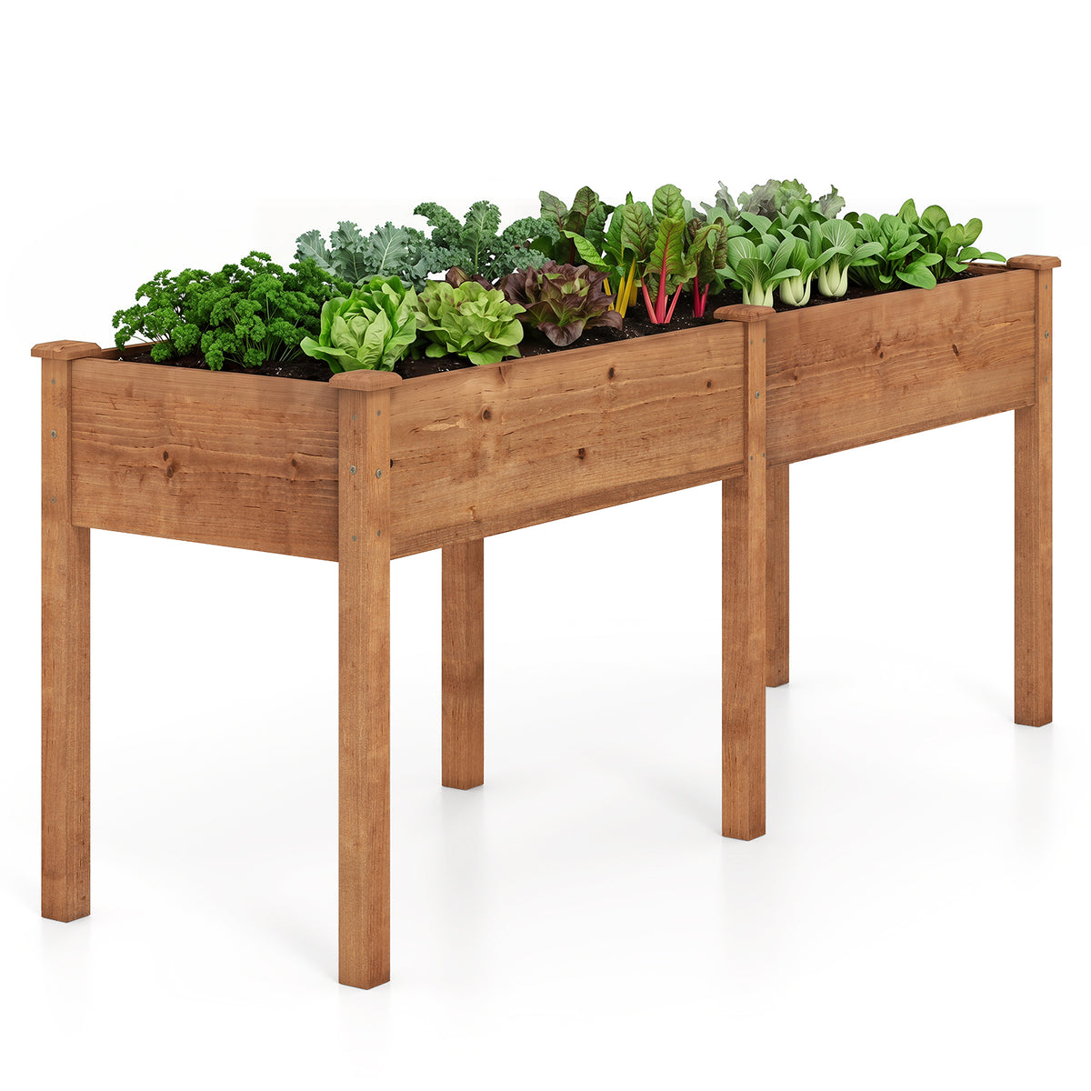 Raised Garden Bed w/Legs