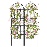 2/4 Pack Metal Garden Trellis 50 x 180 cm, Decorative Outdoor Trellis for Climbing Plants