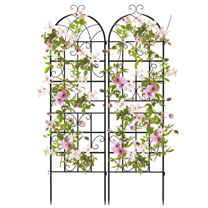 2/4 Pack Metal Garden Trellis 50 x 180 cm, Decorative Outdoor Trellis for Climbing Plants