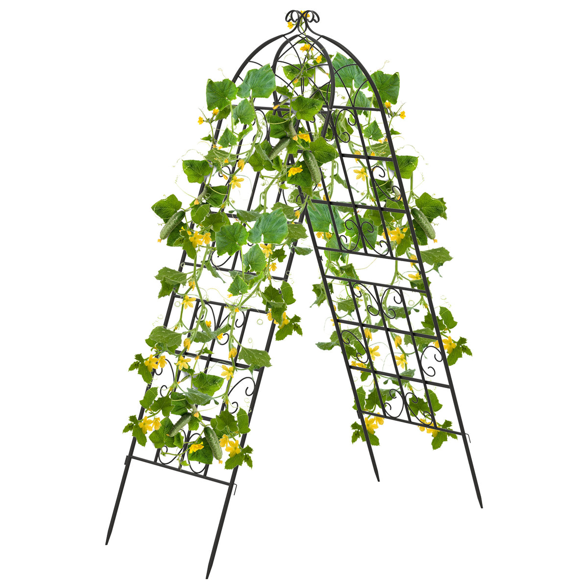 2/4 Pack Metal Garden Trellis 50 x 180 cm, Decorative Outdoor Trellis for Climbing Plants