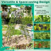 2/4 Pack Metal Garden Trellis 50 x 180 cm, Decorative Outdoor Trellis for Climbing Plants