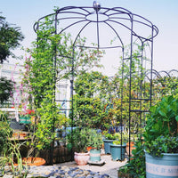 Birdcage Shape Arch,286 cm High x 206cm Wide, Heavy-Duty Wrought Metal Arbor for Climbing Plants