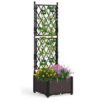 Raised Garden Bed w/ Lattice Trellis