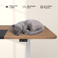 Giantex Electric Height Adjustable Standing Desk, 140cm x 70cm Ergonomic Sit Stand Desk