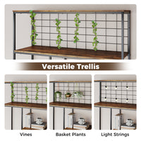 6-tier Tall Bookshelf, Industrial Freestanding Plant Stand with Metal Net