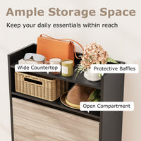 Shoe Storage Cabinet with 2 Flip Drawers, Slim Hidden Narrow Shoe Organizer
